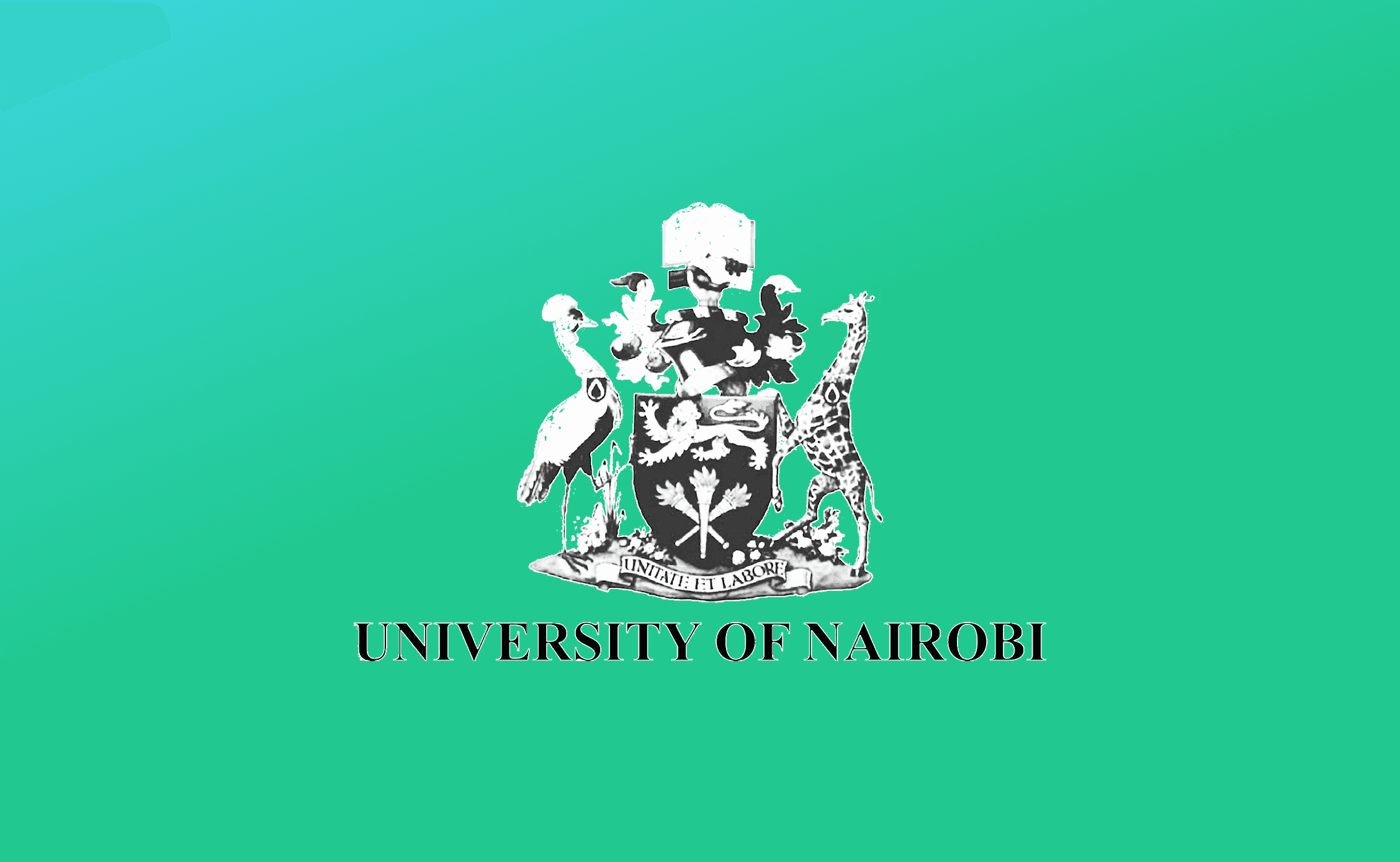 From the University of Nairobi to a Master’s Abroad